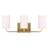 Akita Vanity Light - 3 Light