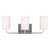 Akita Vanity Light - 3 Light