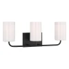 Akita Vanity Light - 3 Light