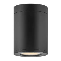 Alistair Outdoor Ceiling Light