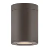 Alistair Outdoor Ceiling Light