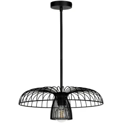 Alyssa Convertible Ceiling Light