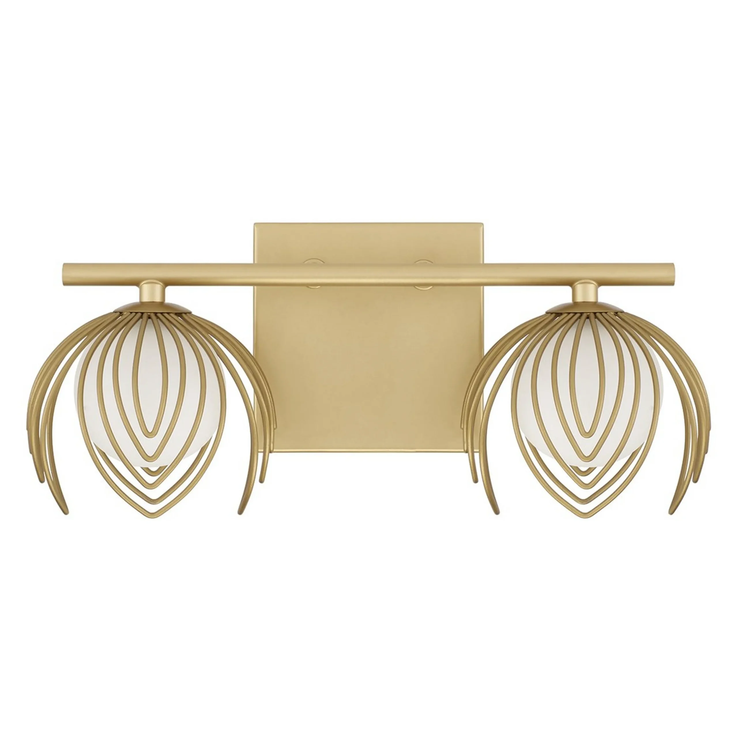 Anika Vanity Light - 2 Light