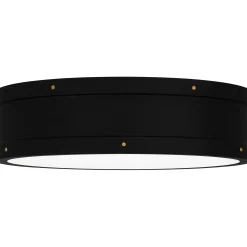 Arleigh LED Ceiling Light