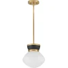 Baltic Pendant