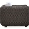 Bertram Outdoor Accent Chair