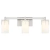 Canarsie Vanity Light - 3 Light