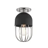Capsule Cage Ceiling Light