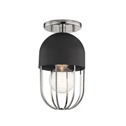 Capsule Cage Ceiling Light