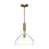 Carigan Pendant - Clear