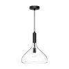 Carigan Pendant - Clear
