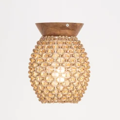 Chrysalis Ceiling Light