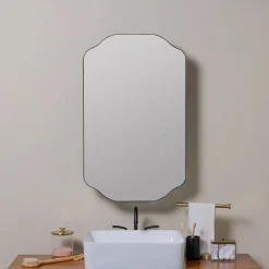 Ciaran Medicine Cabinet Mirror