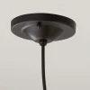 Clear Glass Dome Industrial Pendant