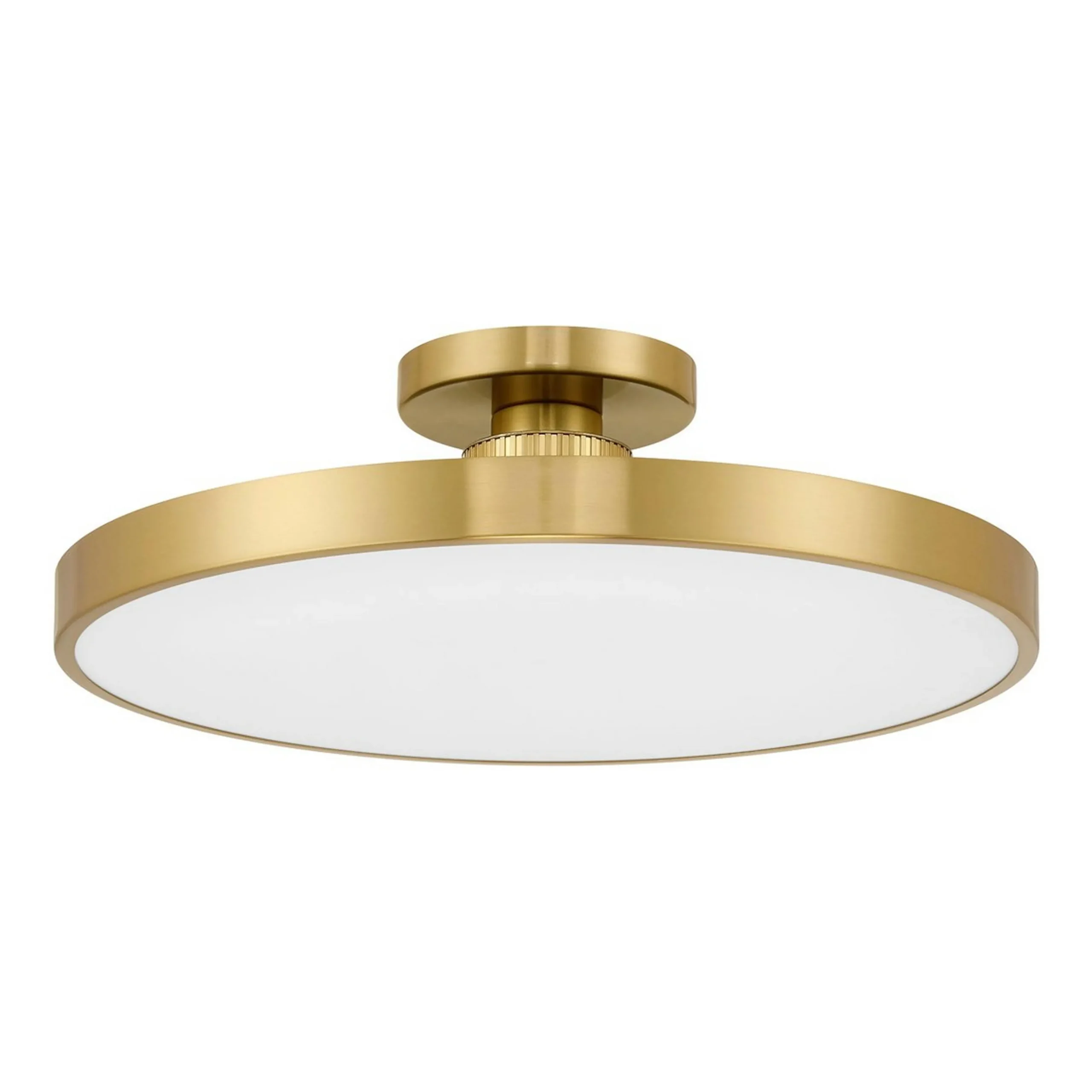 Deandra LED Ceiling Light