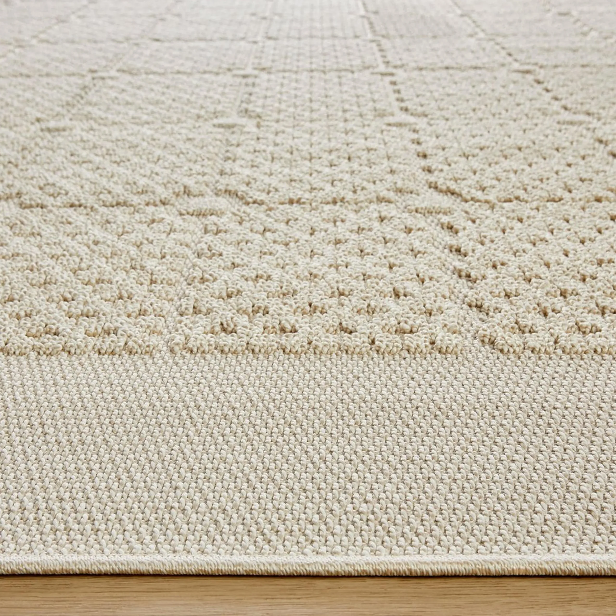 Dimilia Indoor / Outdoor Rug