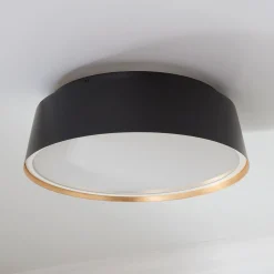 ED Ellen DeGeneres Asher 3 Light Flush Mount