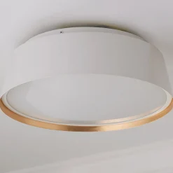 ED Ellen DeGeneres Asher 3 Light Flush Mount