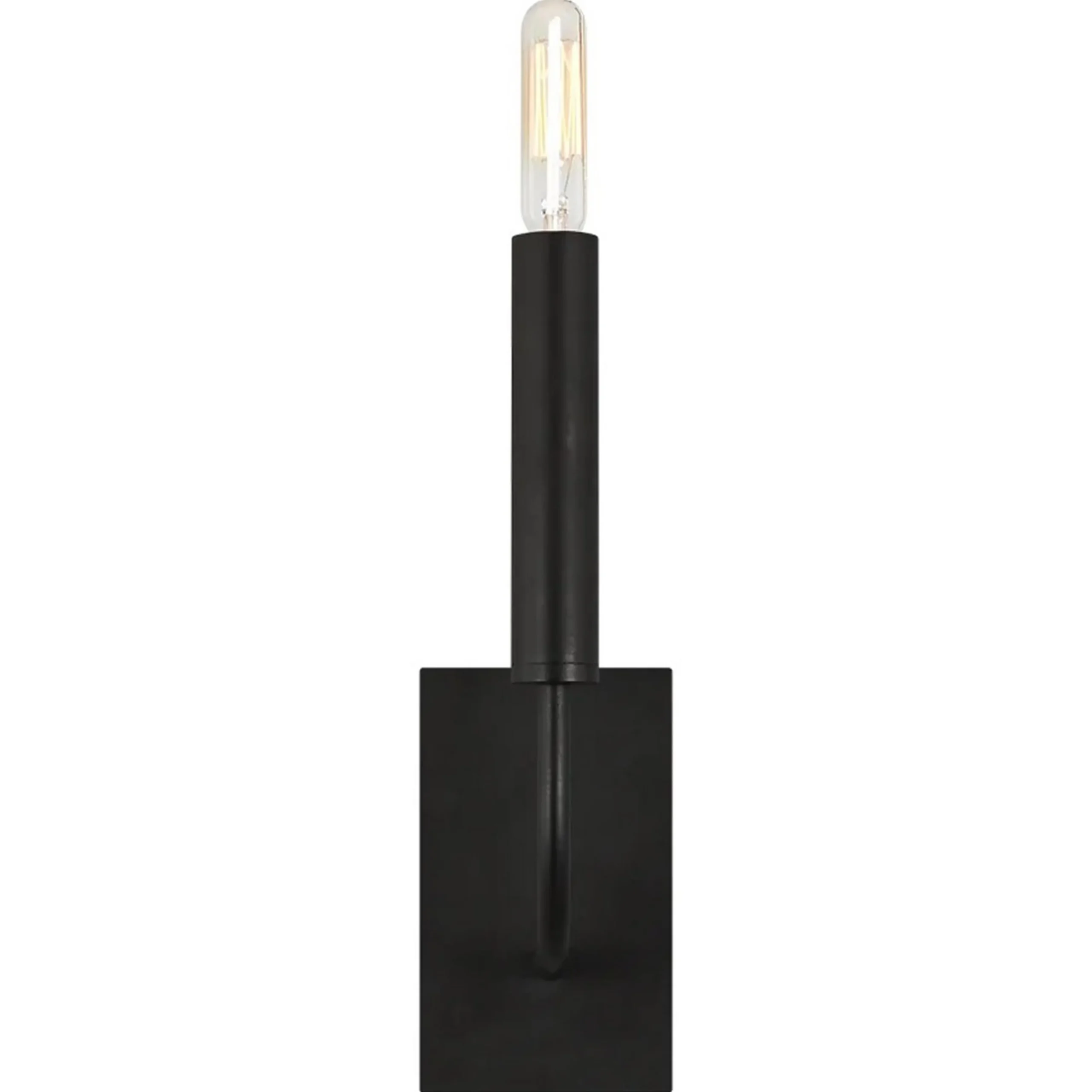 ED Ellen DeGeneres Brianna Sconce