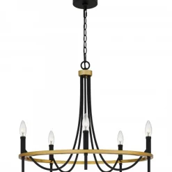 Elaina Swag Chandelier