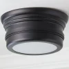 Erin & Ben Co. Crescent Line Ceiling Light