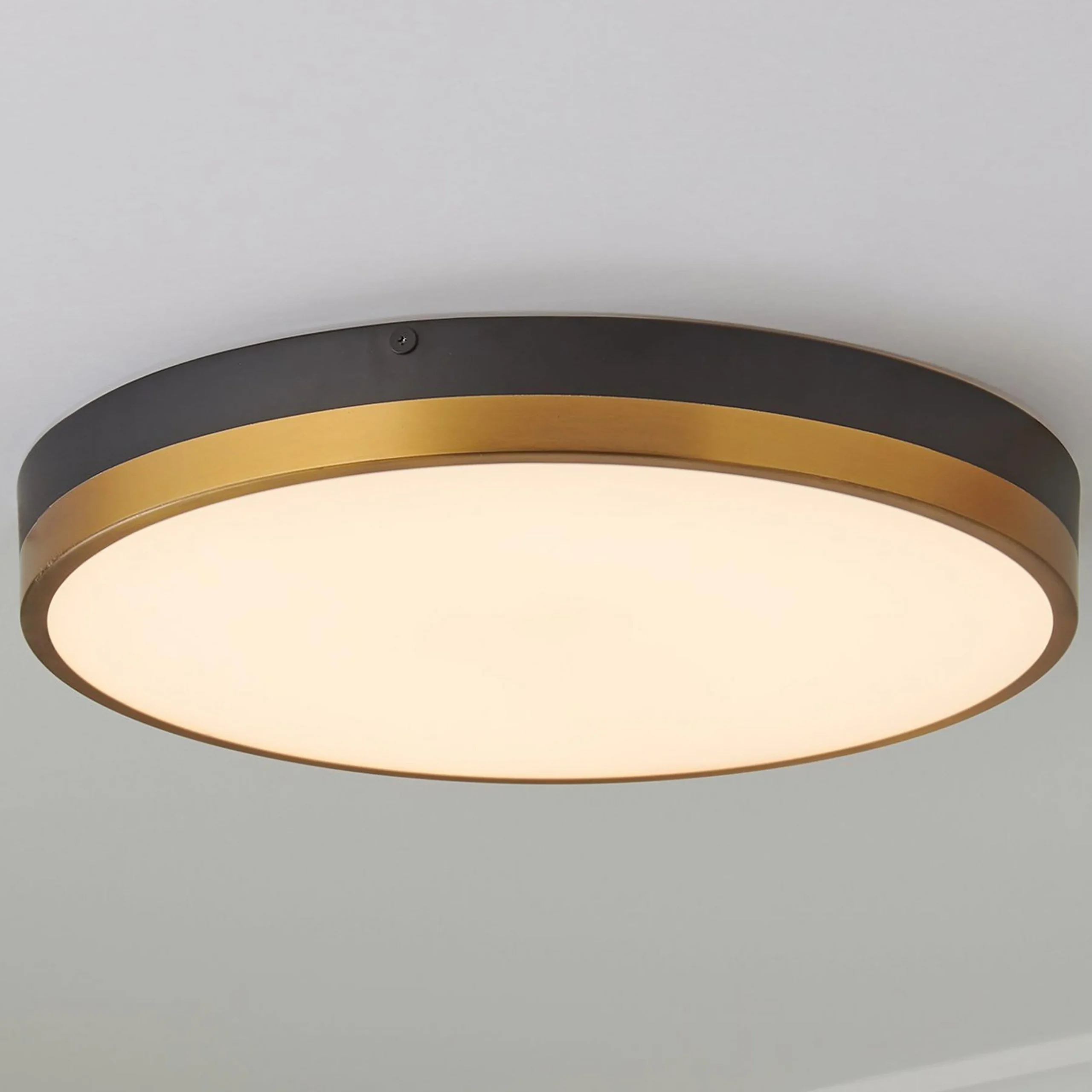 Erwina LED Round Ceiling Light - Large