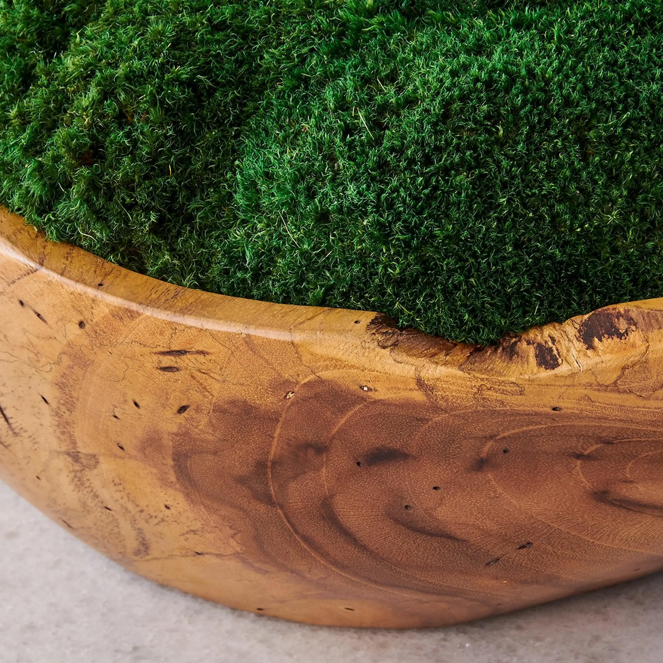Forest Floor Centerpiece