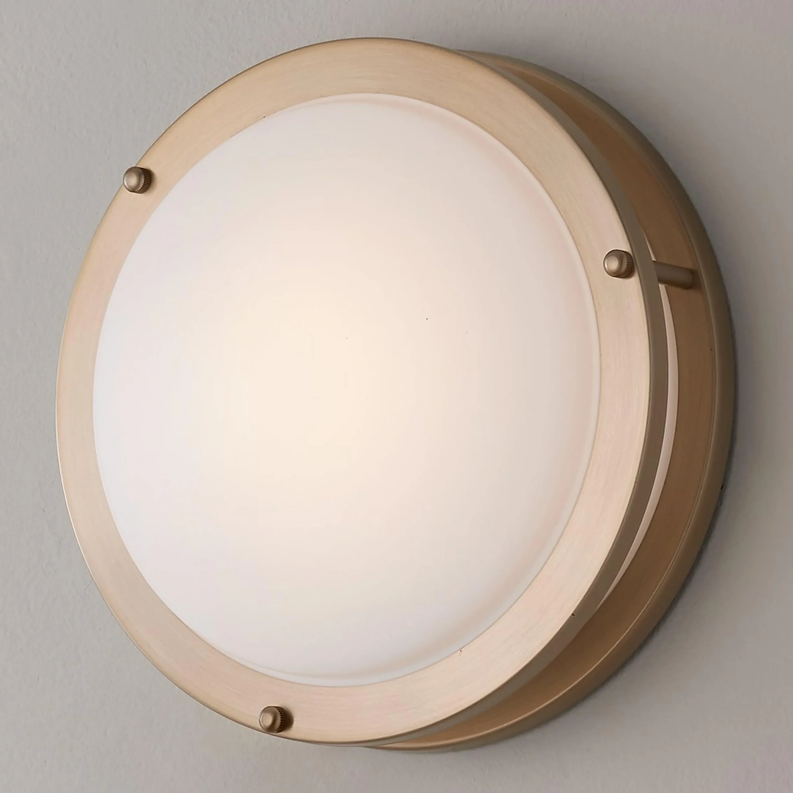 Formed Steel Wall and Ceiling Light - Small