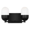Foster Vanity Light - 2 Light