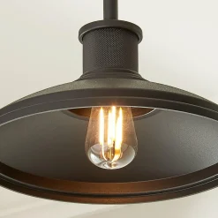 Gooseneck Warehouse Convertible Ceiling Light