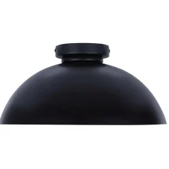 Henshaw Ceiling Light