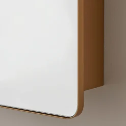 Ianua Medicine Cabinet Mirror