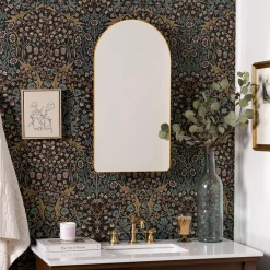 Ianua Medicine Cabinet Mirror