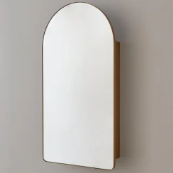 Ianua Medicine Cabinet Mirror