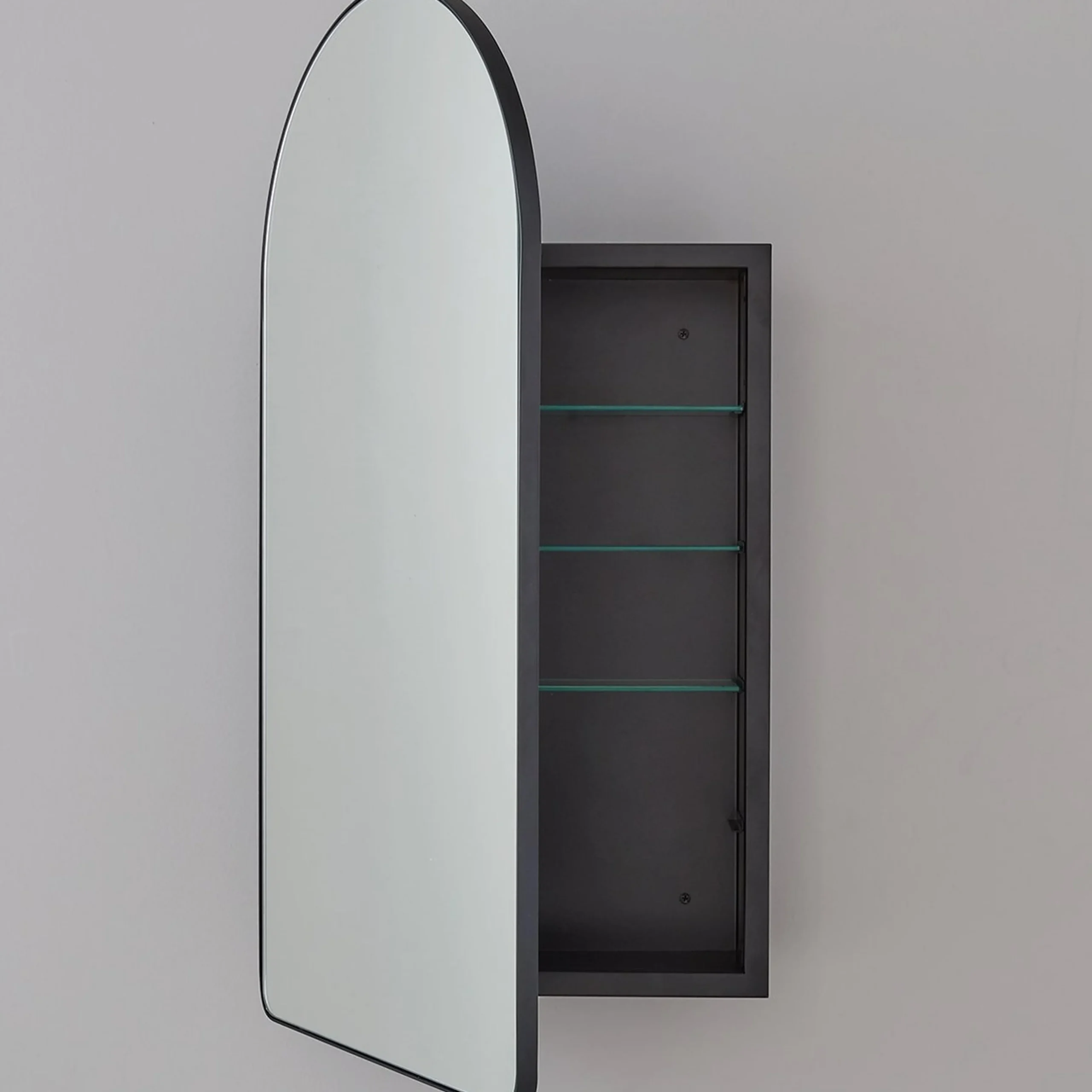 Ianua Medicine Cabinet Mirror