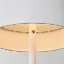 Lucy Cordless Adjustable Floor Lamp