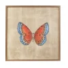 Mariposa Wall Art