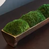 Marjal Centerpiece