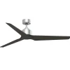 60" Melinoe Indoor / Outdoor Smart Ceiling Fan