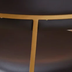 Mid-Century Chic Dining Chair