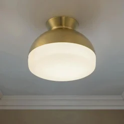 Milvus Ceiling Light