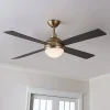 54" Modern Globe LED Ceiling Fan