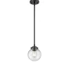 Mod Mix Clear Globe Pendant - Small