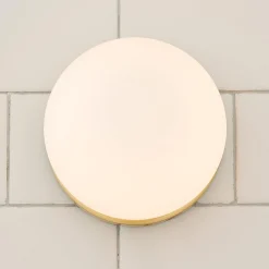 Mounted Globe Ring Bath Sconce - 1 Light