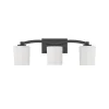 Nelly Vanity Light - 3 Light