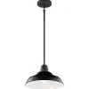 Networked Outdoor Convertible Pendant