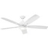 56" Newgate Indoor / Outdoor Ceiling Fan