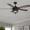 54" Norfolk Indoor / Outdoor Ceiling Fan