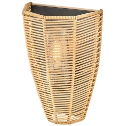Organic Modern Outdoor Sconce
