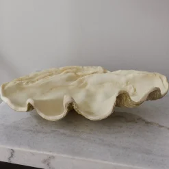 Peloris Sculpture